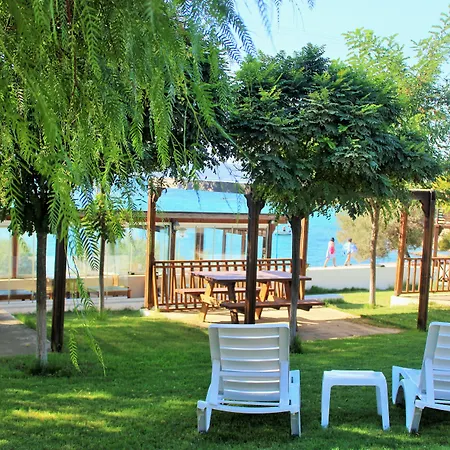 Akkum セェフェリヒサール